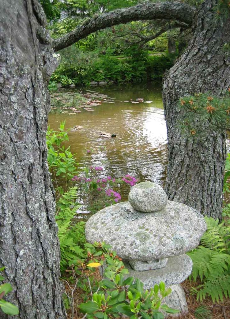 Peaceful meditation garden and pond with duck, represents finding inner peace through exploring your depths.