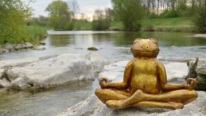 Yoga frog as a symbol of mental health and wellness therapy.