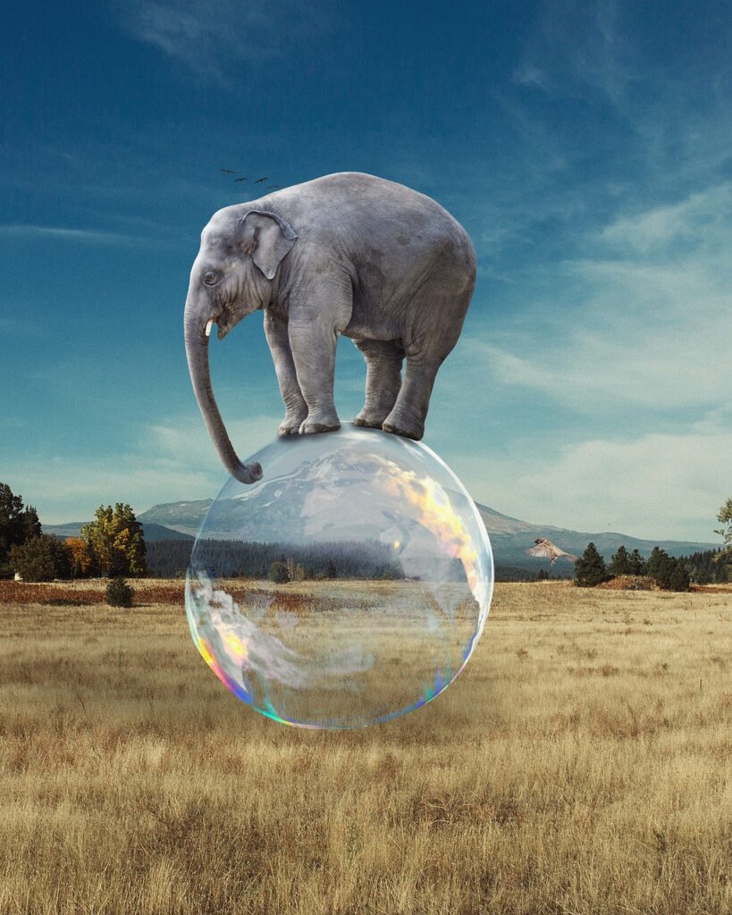 Elephant on a bubble, represents the need for balance in wellness.