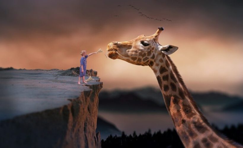 A Boy feeding a huge giraffe. Dream interpretation requires understanding creative dreams such as this.