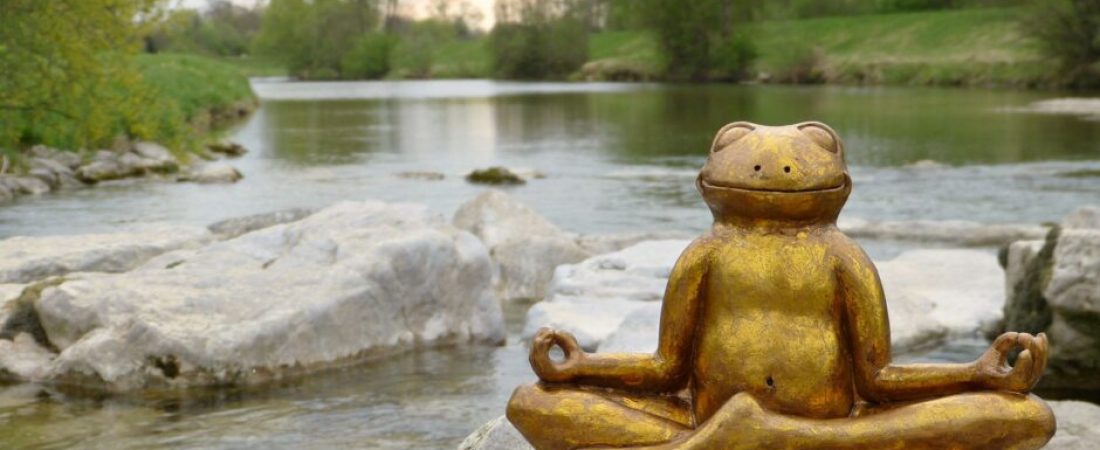 Yoga frog as a symbol of mental health and wellness therapy.